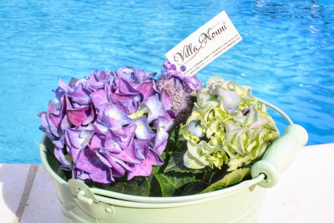 Beautiful details, Villa Nonni - Authentic Stone House with a private pool in Istria, Croatia Vi&scaron;njan