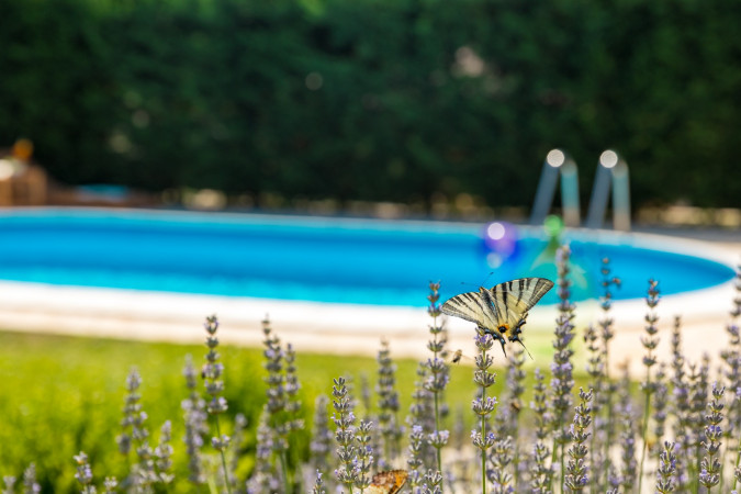 Villa Nonni - Authentic Stone House with a private pool in Istria, Croatia Vi&scaron;njan